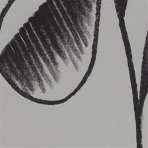 Desenho sobre papel